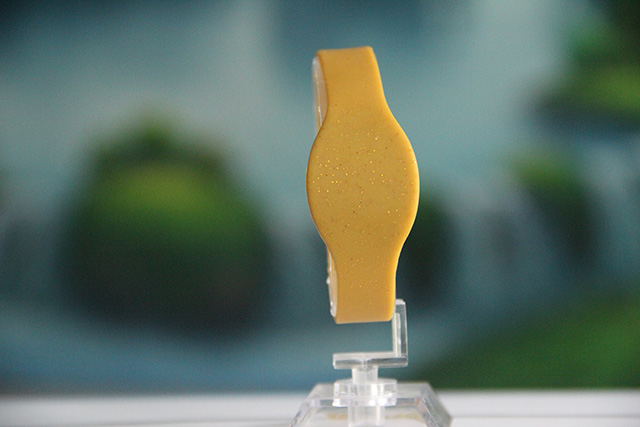 id腕带，，，这玩意儿你相识吗